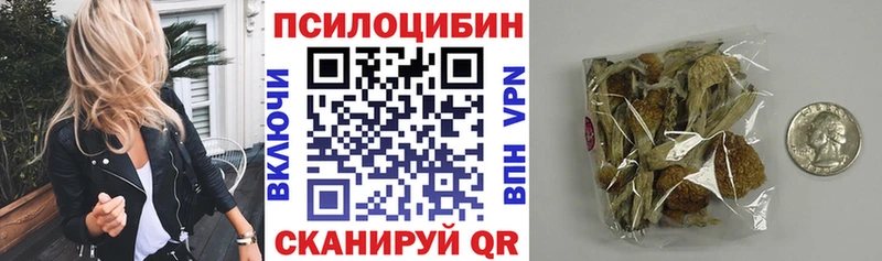 как найти закладки  MEGA tor  Псилоцибиновые грибы Magic Shrooms  нарко площадка официальный сайт  Пошехонье 